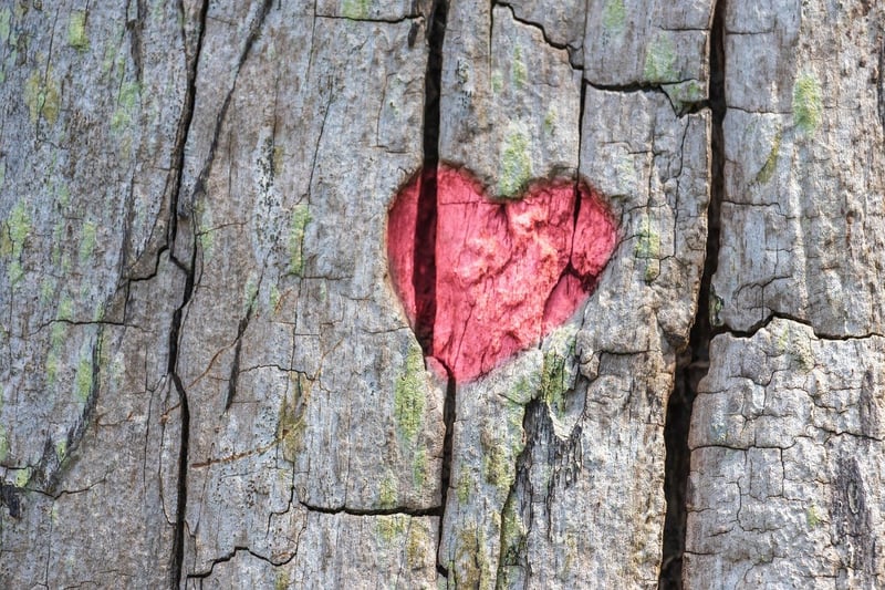 Capturing Love in Details